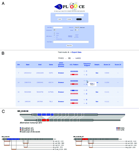 Figure 2. (A) SPLOOCE query form also showing a tab for advanced parameters. (B) Example of the table of results for a query. (C) Some results that can be found in the section “Details” provided by SPLOOCE. In this example, a double skipping (syntax: -e-s-s-e-) that codifies a protein domain is shown.