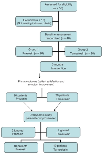 Figure 1 The Consort flowchart of patients enrolled and analyzed in the study.