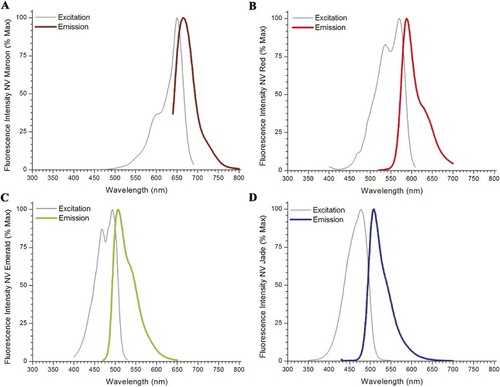 Figure 4: Excitation and emission spectra of NeuroVue Maroon, Red, Emerald and Jade.