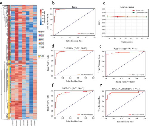 Figure 2. Construction and validation of the probes-based diagnostic model. (a) Unsupervised hierarchical clustering and heatmap for the methylation profile of the seven probes across all samples of 12 cancers. Left color bars mark the tissue and cancer types. (b) ROC curve of training showing the high sensitivity and specificity in discriminating different cancer types from corresponding normal tissues. (c) Learning curve of 5-fold cross validation in training (logistic regression model constructed with the selected seven CpGs). (d, e, f) ROC curve for the validation datasets of GSE69914 (breast cancer), GSE48684 (colorectal cancer) and GSE76938 (prostate cancer). (g) ROC curve for the independent validation dataset of the remaining 9 TCGA cancers not including in the training set. T and N indicate the numbers of tumor and normal samples, respectively.