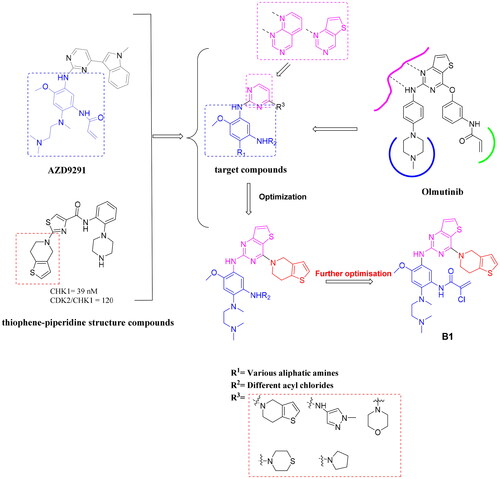 Figure 3. The design strategy of target compounds.