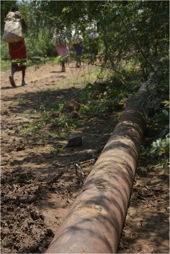 Figure 2. Decaying water pipes near Lake Baringo, Kenya, 2019. Photo by Uroš Kovač.