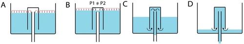 Figure 1. Steps of bell siphon working process.