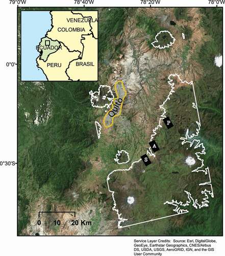 Figure 1. Study area near Quito, Ecuador. White lines delineate areas above 3,500 m used in land use and land cover classification and subsequent C stock calculations. Black rectangles show sites of soil sampling. Rectangle S represents sampling site Sincholagua, A is sampling site Antisana, and P is sampling site Piedras Blancas. Map projection is WGS 1984/UTM 17  N.