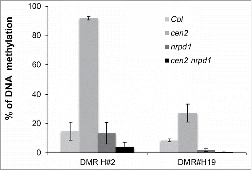 Figure 2. RdDM-dependent gain of DNA methylation in GGR-deficient plants. Genetic interaction between cen2 and nrpd1. Percentage of DNA methylation in Col, cen2, nrpd1 and in cen2-nrpd1 plants for 2 representative TEs overlapping 24-nt siRNAs. Data are presented as percentage of methylation (±SD) determined by McrBC-qPCR and are representative of 3 biological replicates.