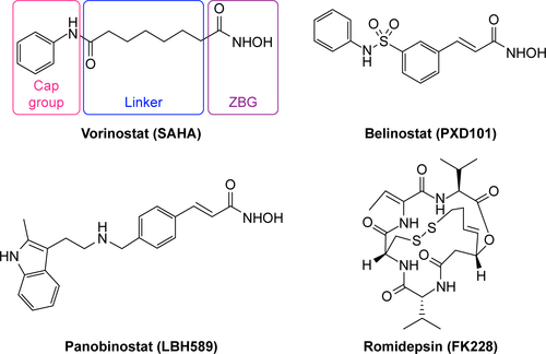 Figure S1 Pharmacophore model and structures of FDA-approved HDAC inhibitors.Abbreviations: FDA, US Food and Drug Administration; HDAC, histone deacetylase; ZBG, zinc binding group.