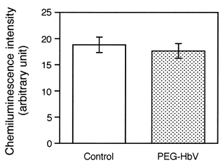 Figure 4. Effects of the PEG-HbV pretreatment on the superoxide production in the PMNs. The PMNs were preincubated for 30 min with (hatched column) or without (open column) PEG-HbV at 600 mg/dl Hb. After the PMNs were washed, the fMLP (1 μM)-triggered superoxide production was measured by the cypridina luciferin analog-dependent chemiluminescence. Data represent the mean ± SE (N=9).