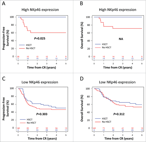 Figure 2. Kaplan–Meier estimates of progression-free survival (A, C) and overall survival (B,D) according to post-remission therapy in patients with low (A, B) or high (C, D) NKp46 expression at diagnosis. The numbers at the bottom of each plot represent the number at risk at the beginning of each 12-mo period for each group of patients. CR: complete remission. Statistical analyses were performed using a log Rank tests. p < 0.05 was considered significant.