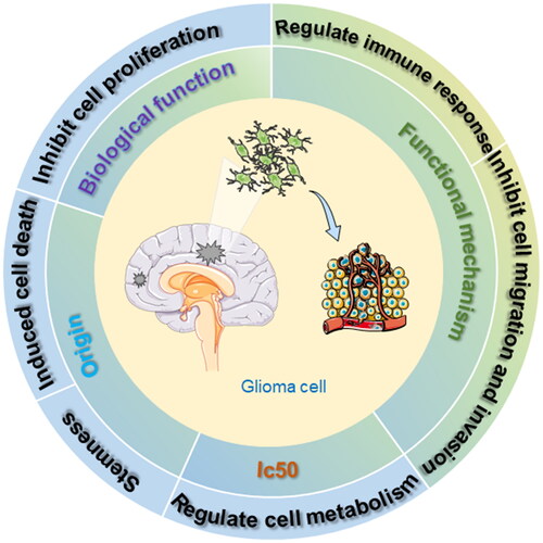Figure 2. Marine-derived compounds affect the biological activity of glioma cells.