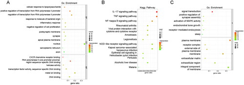 Figure 8. GO and KEGG analysis of DEGs between A549/Tax-NC and A549/TAX-siRNA-MUC1. (A) The GO enrichment of up-regulated DEGs; (B) The KEGG pathway of up-regulated DEGs; (C) The GO enrichment of down-regulated DEGs.