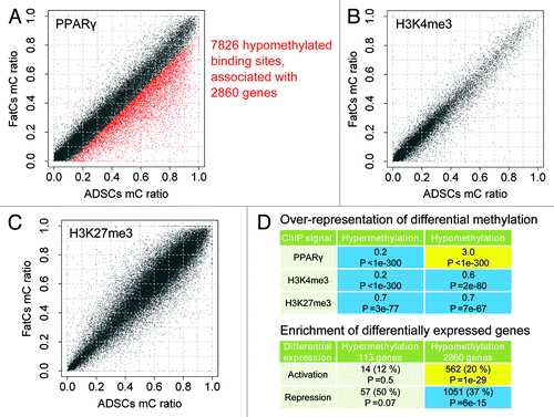 Figure 5. Differential methylation at PPARγ binding regions between ADSCs and FatCs. (A-C) Differential methylation of PPARγ binding sites (A), H3K4me3 (B), and H3K27me3 (C) between ADSCs and FatCs. Hypomethylated signal sites are over-represented specifically for PPARγ, but not for H3K4me3 or H3K27me3. The numbers of hypomethylated signal sites are 7826 out of 52040 for PPARγ, 971 out of 33402 for H3K4me3, and 1878 out of 54130 for H3K27me3. (D) Over-representation of differentially methylated signal sites in ADSCs and FatCs. Enrichment and P values were calculated by the binomial test. Over- and under-representation with P < 0.05 are colored in yellow and blue, respectively. (E) Enrichment of differentially methylated PPARγ binding sites among differentially expressed genes in ADSCs and FatCs. P values were calculated by the Fisher exact test. Enrichment and depletion (dis-enrichment) with P < 0.05 are colored in yellow and blue, respectively.