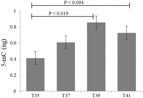 Figure 6. Global methylation in C2C12 cells in culture under thermal stress at 35, 37, 39 and 41 °C. Data presented as lsmean ± sem. A Statistical difference compared between temperature groups (p < 0.05).