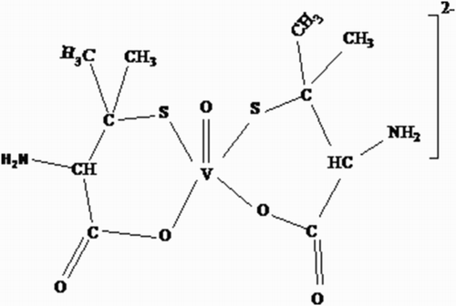 Scheme 2. The suggested structure of the complex of [VO(Pen) 2]2−.