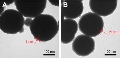 Figure 2 TEM images of (A) PHMs and (B) PMs.Note: The thickness of the PDA film on PHMs is 8 nm, while that on PMs is 14 nm.Abbreviations: TEM, transmission electron microscope; PHMs, hypericin-entrapped polydopamine–MNP composite nanoparticles; PMs, polydopamine–MNP composite nanoparticles.
