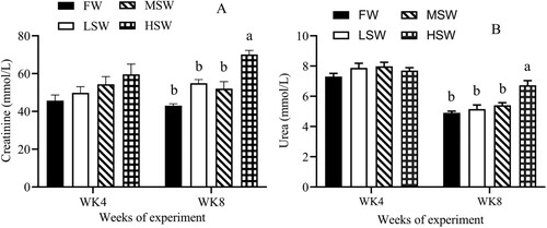 Figure 2. The effect of SW in drinking water on plasma levels of creatinine (A) and urea (B) at the 4th and 8th weeks of experiment. FW: fresh water; LSW: low SW (0.5); MSW: medium SW (1.0%); HSW: high SW (1.5%); WK: week. a, b – Different small letters differ significantly (P ≤ 0.05).