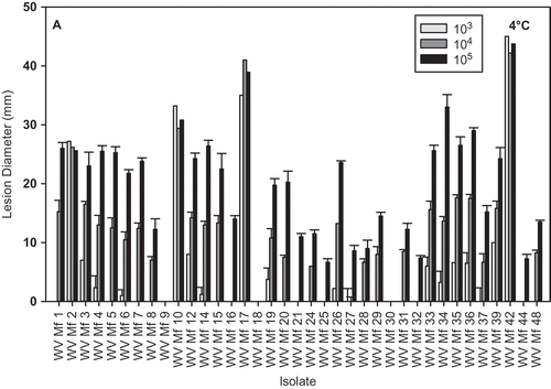 Fig. 4. Brown rot lesion development on wound-inoculated nectarine fruit with 25 μL of conidial suspensions of different Monilinia fructicola isolates at 103, 104 and 105conidia mL−1 and incubated at: A, 4 °C for 17 days and B, 24 °C for 2 days.