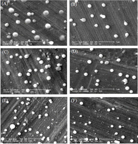 Figure 2. Typical SEM images of sericin nanoparticles electrosprayed at 15 kV. Concentrations (%), feed rates (ml h−1) and nozzle–collector distances (cm) are 0.9, 0.044, 20 (A); 0.9, 0.044, 25 (B); 0.5, 0.044, 20 (C); 0.5, 0.044, 25 (D); 0.5, 0.022, 20 (E); 0.5, 0.022, 25 (F).