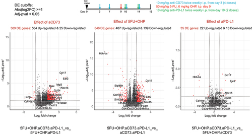 Figure 4A. Pharmacodynamic effect of aCD73+aPD-L1+5FU+OHP with respect to CT26 transcriptome. RNAseq analysis was used to see the changes in the CT tumor transcriptome. Upper panel shows the schematic of the experimental design. Lower panel shows contribution of the individual components in the in combined aCD73, aPD-L1 and 5FU+OHP treatment vs the aCD73 + aPD-L1 group. As seen in left bottom panel, addition of aCD73 had the most profound effect leading to 589 differentially expressed (DE) genes as opposed to aPD-L1 which lead to only 35 DE genes (bottom right panel). Addition of the chemotherapeutic component to antibody doublet (aCD73 + aPD-L1) lead to 546 DE genes. DE cut-off values used were Abs(log2FC) ≥1 and Adj-pval < 0.05.