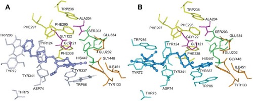 Figure 6 Binding mode of inhibitor DPH14 at the active site of EeAChE.