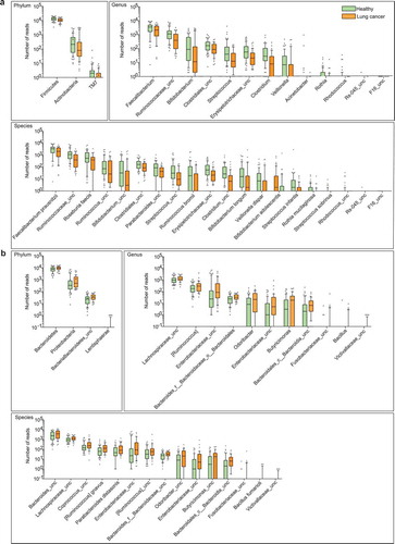 Figure 2. Differential abundance of gut microbiota in lung cancer and healthy controls. The taxa decreased (a) and increased (b) in patients with lung cancer at the phylum, genus, and species levels, p < .05. Green and orange represented the healthy controls (n = 65) and lung cancer patients (n = 42), respectively. The distributions of taxa were based on the number of reads post-filtering and rarefying. The abundance in each group was plotted as log10 scale on the y axis. P values were calculated using the two-tailed Wilcoxon rank-sum test. Description of boxplots was the same as in Figure 1. Taxa were named as their lowest possible level of classification, with unclassified (unc) indicating no further classification available.