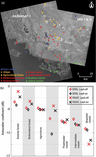 Figure 8. Averaged ERS-1/ERS-2 and Radarsat-1 intensity images of southeastern Louisiana, USA, with distinct land cover classes identified by symbols (explanation in lower left). (b) Averaged radar backscattering coefficients (relative to urban backscattering returns) for seven major land cover classes during both leaf-on and leaf-off seasons. Variations of the radar-backscattering coefficient were used to distinguish different land cover types.