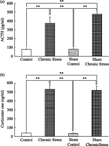 Figure 1  Plasma ACTH and corticosterone concentrations: chronic stress with intact salivary glands. (a) Plasma ACTH; (b) plasma corticosterone concentrations, in terminal cardiac puncture blood samples. Control: no stress; Chronic stress: after daily 12 h restraint stress for 22 days; Sham: sham sialoadenectomy. Values are mean ± SEM; n = 12 rats in each group. **p < 0.01, ANOVA/Tukey's.