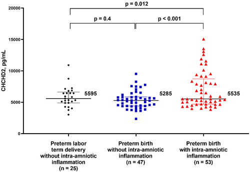 Figure 3. Concentration of CHCHD2/MNRR1 (pg/mL) in the amniotic fluid of pregnant women in preterm labor classified by gestational age at delivery and the presence of intra-amniotic inflammation. Data are reported as medians and interquartile ranges. The analysis was performed after log2 transformation of the data.