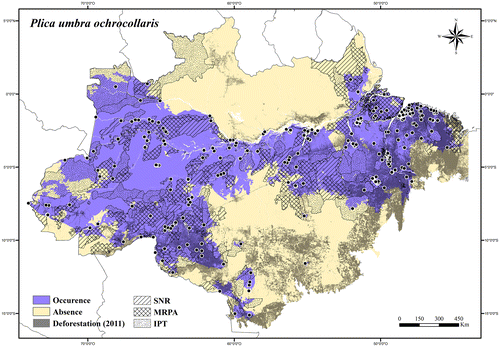 Figure 117. Occurrence area and records of Plica umbra ochrocollaris in the Brazilian Amazonia, showing the overlap with protected and deforested areas.