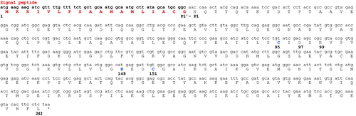 Figure 2. Nucleotide and amino acid sequence of β-CA from P. gingivalis. Amino acid residues Cys95, His148 and Cys151 are the typical residues of a β-CA participating in the coordination of metal ion, whereas Asp97 and Arg99 form the catalytic dyad involved in the activation of the metal ion coordinated water molecule. In red is reported the signal peptide. The asterisk (*) indicates the stop codon. P1′- P1 indicate the position of the predicted cleavage site.