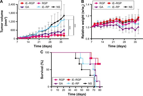 Figure 8 In vivo antitumor efficacy of iE–RBCm–GA/PLGA NPs.Notes: (A) Tumor growth inhibition in mice treated with iE–RBCm–GA/PLGA NPs (iE–RGP), RBCm–GA/PLGA NPs (RGP), free GA, iE–RBCm–PLGA NPs (iE–RP), and NS by tail vein injection (n=6). Tumor size of mice in each group was measured on day 7 postimplantation and every other day after injection until the appearance of dead (37 days in total). Data are given (graph bars) as the mean ± SD (n=6). Statistical significance. (B) Relative weights of tumor-bearing mice treated with iE–RBCm–GA/PLGA NPs (iE–RGP), RBCm–GA/PLGA NPs (RGP), free GA, iE–RBCm–PLGA NPs (iE–RP), and NS. Weight of mice in each group was measured on day 7 postimplantation and every other day after injection until appearance of dead (n=6, P>0.05). Data are given (graph bars) as the mean ± SD (n=6). Statistical significance. (C) Survival of mice treated with iE–RBCm–GA/PLGA NPs (iE–RGP), RBCm–GA/PLGA NPs (RGP), free GA, iE–RBCm–PLGA NPs (iE–RP), and NS. ***P≤0.001.Abbreviations: GA, gambogic acid; NPs, nanoparticles; NS, normal saline; PLGA, poly(lactic-co-glycolic acid); RBCm, red blood cell membrane.