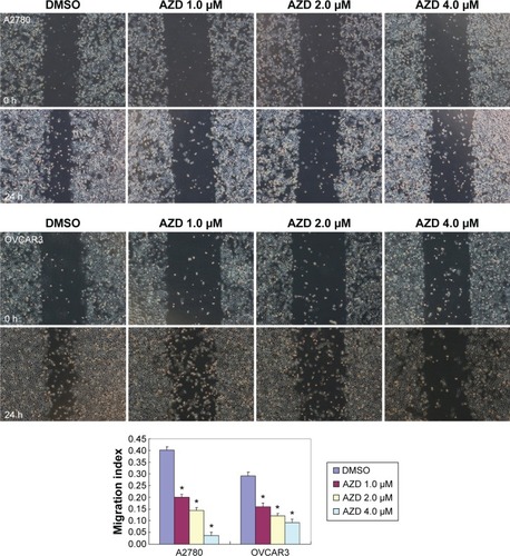 Figure 2 Effects of AZD1080 on ovarian carcinoma metastatic ability.