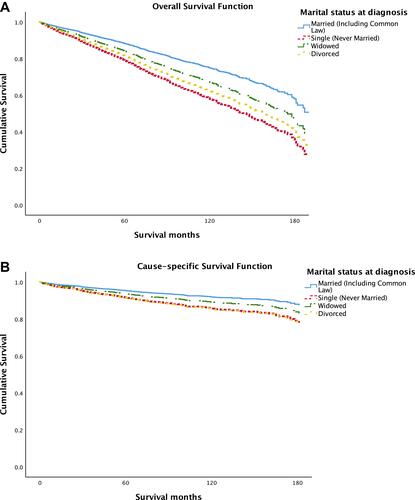 Figure 1 Survival function curves by marital status. Individuals who are single, divorced, or widowed have significantly increased all-cause (A) and cause-specific (B) mortality compared to those who are married.