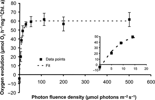 Fig. 2. Photosynthetic oxygen evolution as function of increasing photon fluence densities in Klebsormidium sp. (n = 3, mean value ± SD) according to the method of Remias et al. (Citation2010). The dashed line represents a fitted curve of the data measured based on the photosynthetic equation of Webb et al. (Citation1974).