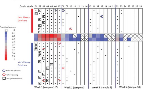 Figure 3. Gut and oral specimen sampling chart over 28 d of inpatient treatment. X-axis along the top of the chart indicates the day in the study (Day 1–Day 28) segmented by 4 -week intervals. Black dots: gut specimens. Open boxes: oral specimens. Blue circles: specimens failing DNA extraction. Red circles: specimens failing sequencing. Center heat map: average total specimens for that day.