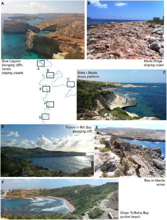 Figure 5. Types of coast occurring along northern Malta and Comino: (A) plunging cliffs, caves and sloping coasts occurring in Comino; (B) sloping coast in Upper Coralline Limestone at Marfa Ridge; (C) shore platform at Blata I-Bajda; (D) plunging cliff at Fomm ir-Rih; (E) scree at Ras in-Niexfa; (F) pocket beach at Ghajn Tuffieha Bay.