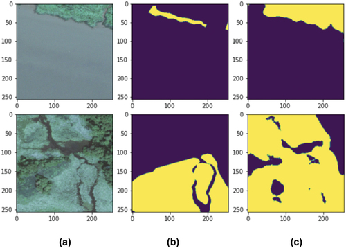 Figure 9. A visualization of samples of images with the corresponding ground truth labels using high-resolution NAIP imagery. A) the raw NAIP imagery; B) annotations from TMI; C) model prediction of marsh presence (yellow pixels are marsh).