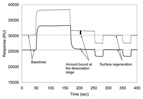 Figure 5. SPR measurements of mAb A4 (solid line) and mAb A8 (dashed line). 50 sec after the injection of mAbs, 10 μl of human serum were injected. The injected serum flowed over the activated chip surface for 2 min at 0.05 ml/min. After the running buffer replaced the injected volume, the residual amount of serum component that bound to the surface was observed between 160 and 250 sec. Two regeneration steps were then performed by injecting 50 mM sodium hydroxide (2 μl each). The relative amount of serum components bound to the chip is marked with vertical bars at ~200 sec.