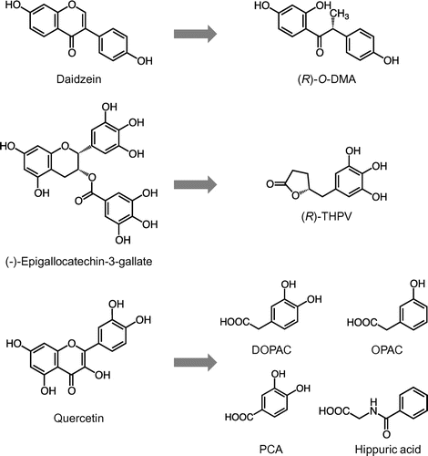 Figure 2. Chemical structures of typical flavonoids and their ring-fission products generated by gut microbiota. (R)-O-DMA, (R)-O-desmethylangolensin; (R)-THPV, (R)-5-(3ʹ,4ʹ,5ʹ-trihydroxyphenyl)-γ-valerolactone; DOPAC, 3,4-dihydroxyphenylacetic acid; OPAC, 3-hydroxyphenylacetic acid; PCA, protocatechuic acid.