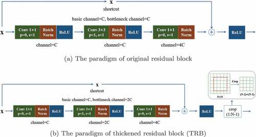 Figure 3. The structure comparisons of original residual block and the proposed TRB. Based on the original residual block, the modifications of TRM include doubling the number of channels in bottleneck and cropping out the limbic elements attached to the feature map.