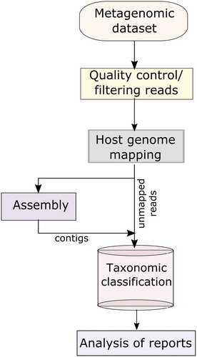 Figure 4. Bioinformatic workflow for viral metagenomics. The main bioinformatics steps used to analyse the HTS sequencing data sets.