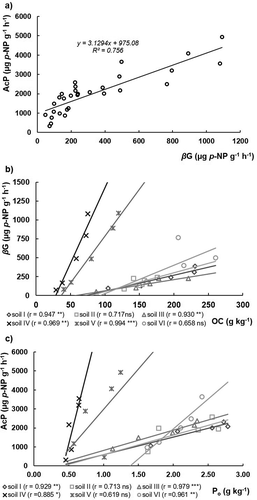 Figure 4. Relationships between (a) acid phosphomonoesterases (AcP) versus β-glucosidase (βG); (b) β-glucosidase (βG) activity versus organic C (OC) content; and (c) acid phosphomonoesterases (AcP) versus organic P (Po) on the six studied soils
