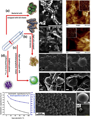 Figure 9. Schematic representing the fabrication of composite nanomaterials in a VFD, including (a) GO wrapped bacterial cells, (b) GO wrapped algal cells, (c) exfoliated graphene sheet − wrapped algal cells, (d) graphene spheres with their capacitance, and (e) SEM image of polystyrene beads and fullerene C60 [Citation61–65].