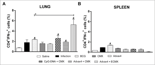 Figure 4. Cellular immune response against rCMX 45 days after challenge. Thirty days after the third immunization, BALB/c mice were challenged with Mtb (105 CFU per mice) and then euthanized after 45 days to evaluate the cellular response. (A) Anti-rCMX or anti-rECMX CD4+IFN-γ+ lung cells 45 days after challenge. (B) Anti-CMX or anti-ECMX CD4+IFN-γ+ splenocytes 45 days after challenge. The results shown are representative of two different experiments (N = 3; *p < 0.05). * Statistical difference between the analyzed group and the BCG group. # Statistical difference with the saline group.