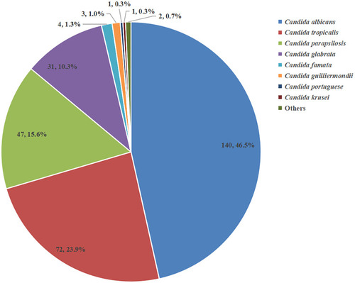Figure 2 Distribution of different Candida spp. during this candidemia study period.