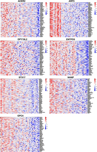 Figure 8 The Co-expression analysis of hub genes.