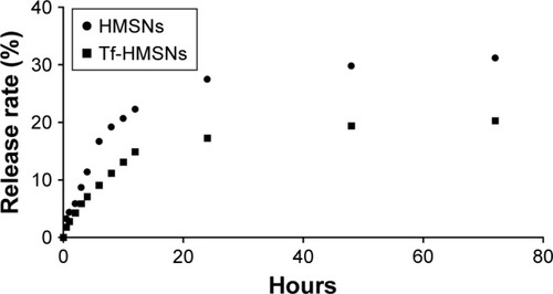 Figure 2 In vitro release profile of sorafenib from drug-loaded HMSNs and Tf-HMSNs at 37°C, respectively.Notes: The release study was performed in the PBS (pH 7.4) and performed until 72 hours. Twelve time points were included.Abbreviations: HMSNs, hollow mesoporous silica nanoparticles; Tf-HMSNs, transferrin-conjugated HMSNs.