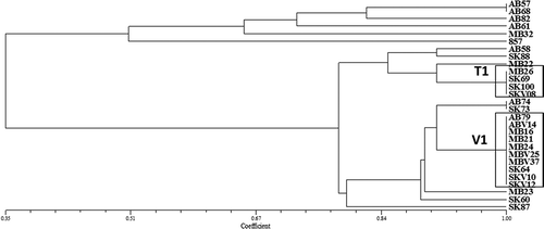 Fig. 4 Pathogenic similarity of Pyrenophora teres f. maculata (spot form net blotch of barley) isolates recovered from barley crops in western Canada; two pathotype groups, highlighted in boxes, were found to be predominant. The dendrogram was produced using the unweighted pair-group method using the arithmetic means (UPGMA) procedure and simple similarity coefficient with NTSYSpc ver. 2.2.