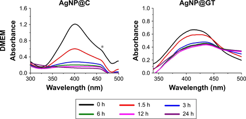 Figure S5 UV-Vis spectral changes of the as-prepared silver nanoparticles (citrate-stabilized AgNP@C, green tea-stabilized AgNP@GT) in the presence of DMEM. * marks a UV-Vis detection error during the measurements that should be disregarded.Abbreviations: AgNP@C, citrate-capped nanosilver; AgNP@GT, green tea extract-stabilized silver nanoparticle.