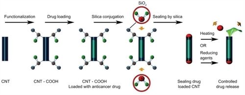 Figure 6 The picture illustrates that the silica can be used to seal the two ends of the drug-loaded carbon nanotubes (CNT). This is used to allow the drugs to be released in controlled manner.