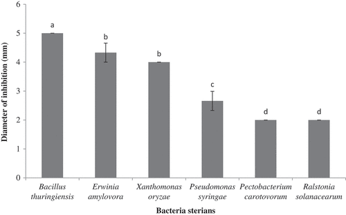 Figure 3. Antibacterial activity estimated by diameter of inhibition of F. angulata seed oil.